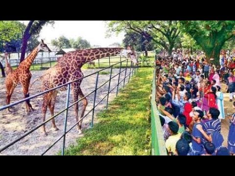 Bangladesh National Zoo